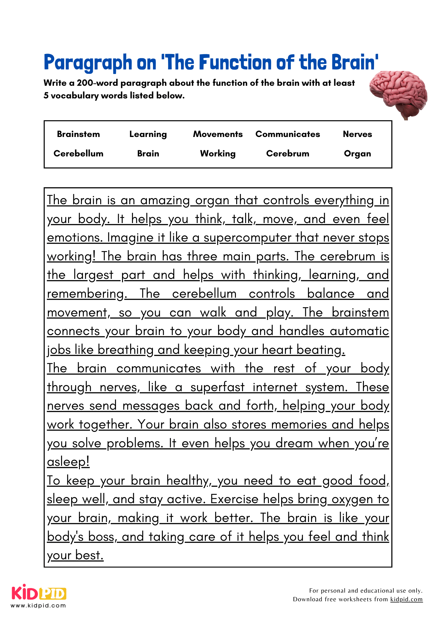 Paragraph on 'The Function of the Brain' - 200 Words