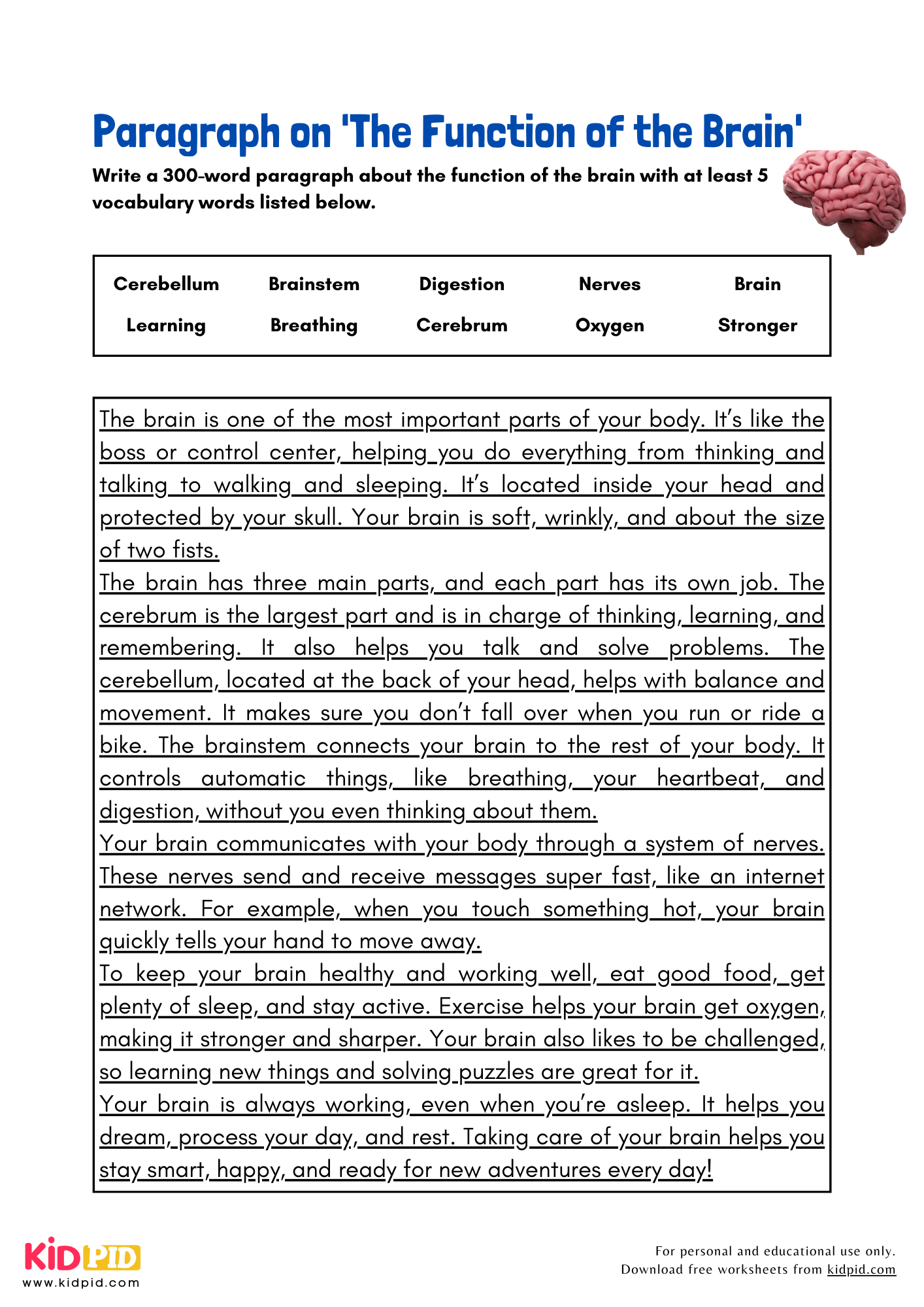 Paragraph on 'The Function of the Brain' - 300 Words