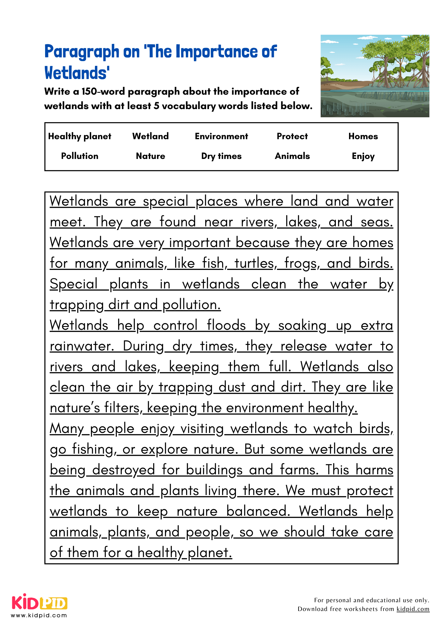 Paragraph on 'The Importance of Wetlands' - 150 Words