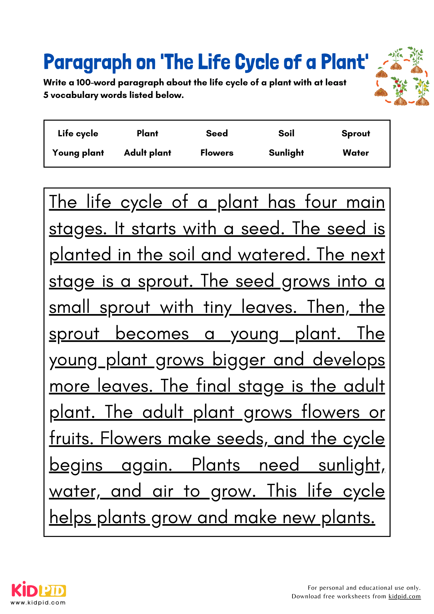 Paragraph on 'The Life Cycle of a Plant' - 100 Words