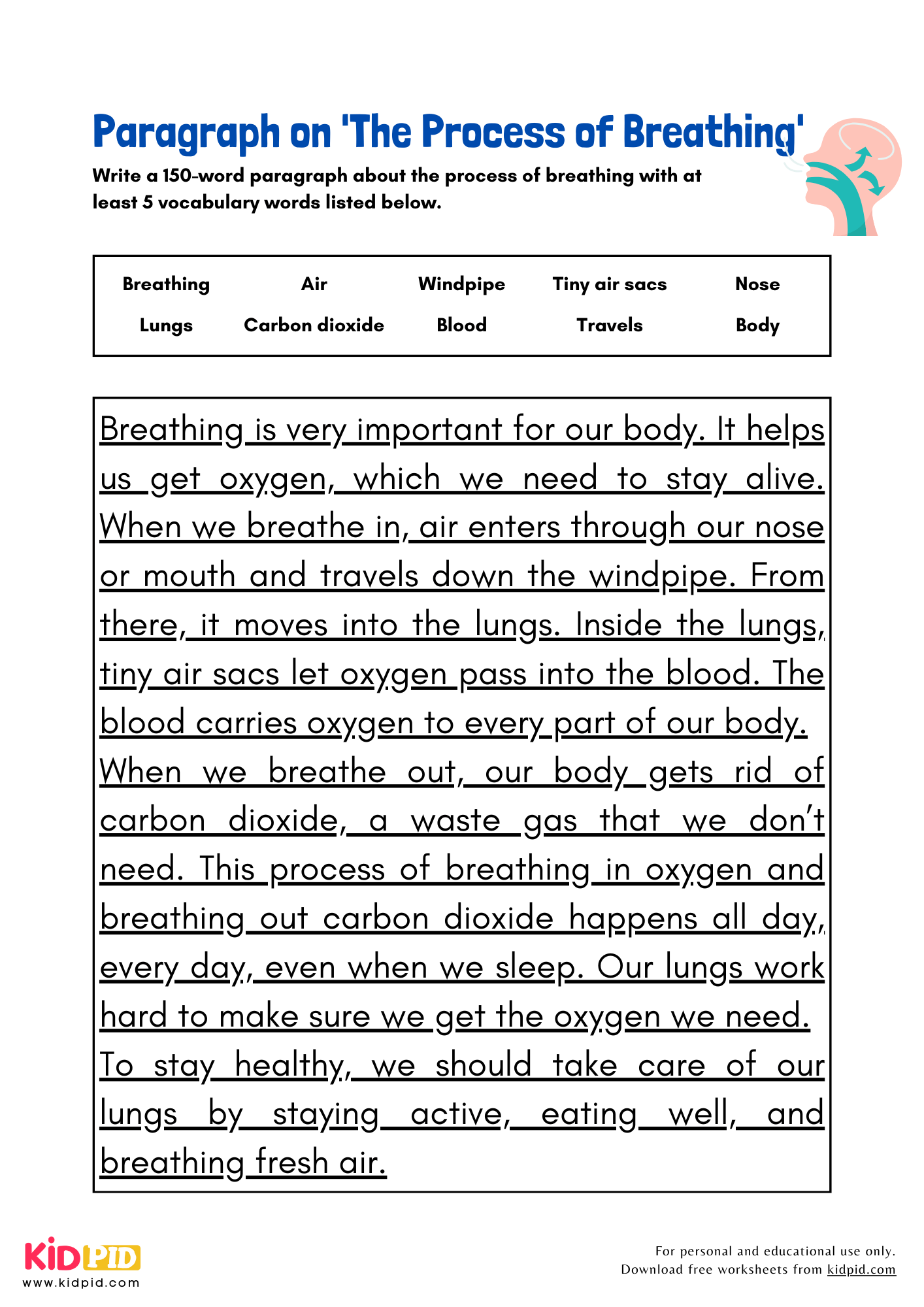 Paragraph on 'The Process of Breathing' - 150 Words