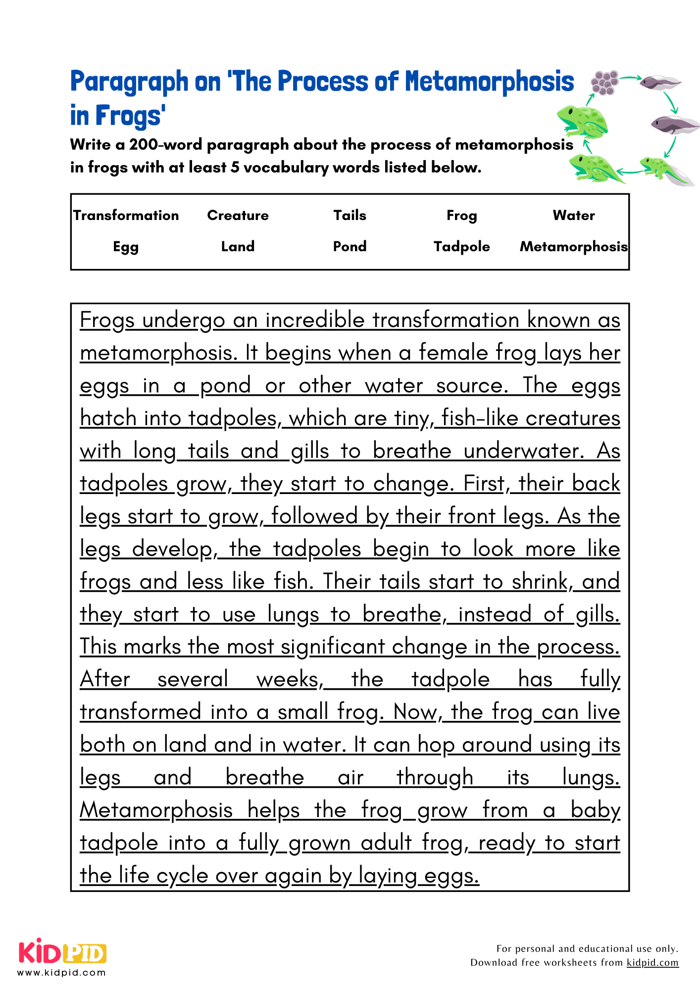 Paragraph on 'The Process of Metamorphosis in Frogs' - 200 Words