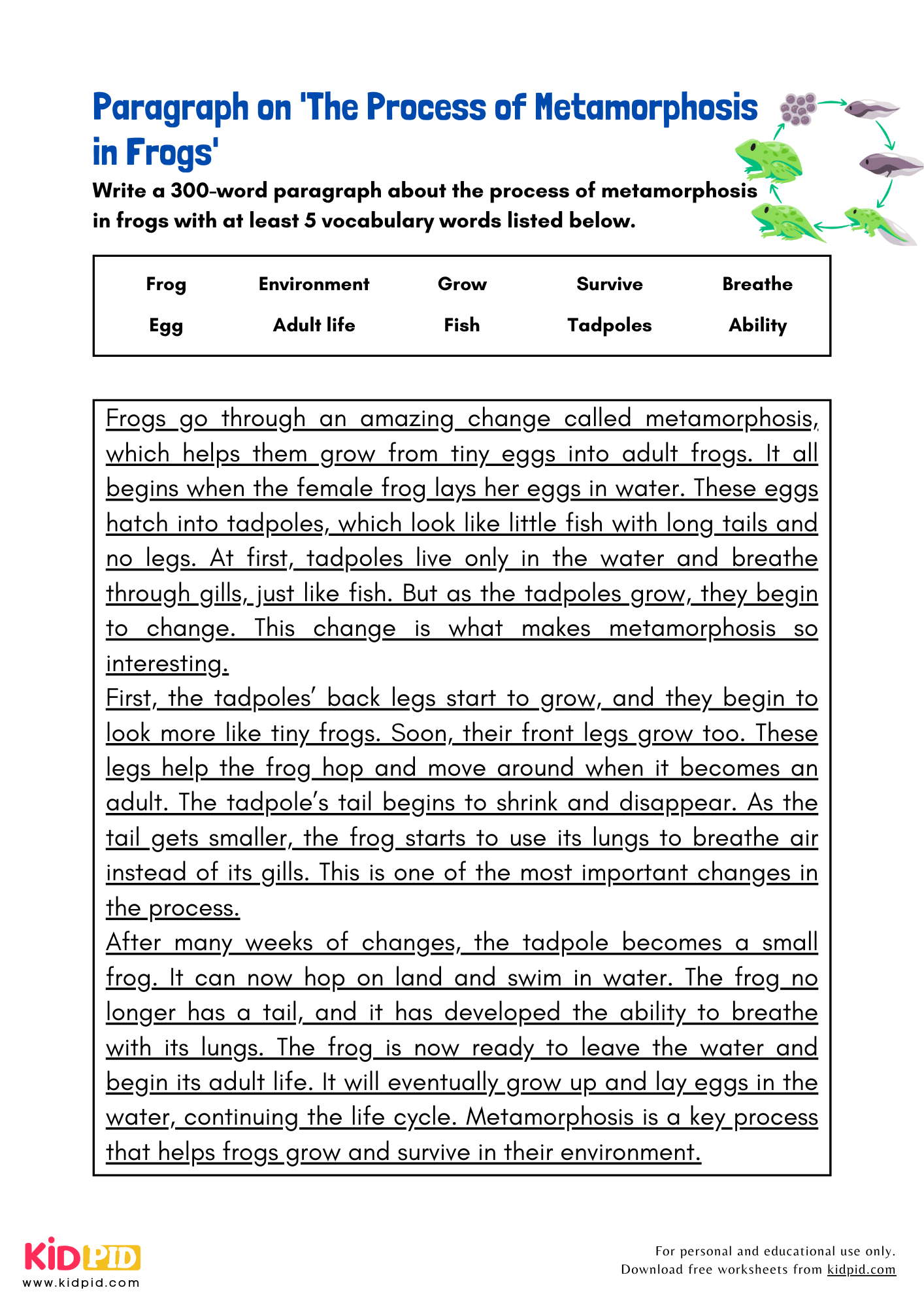 Paragraph on 'The Process of Metamorphosis in Frogs' - 300 Words