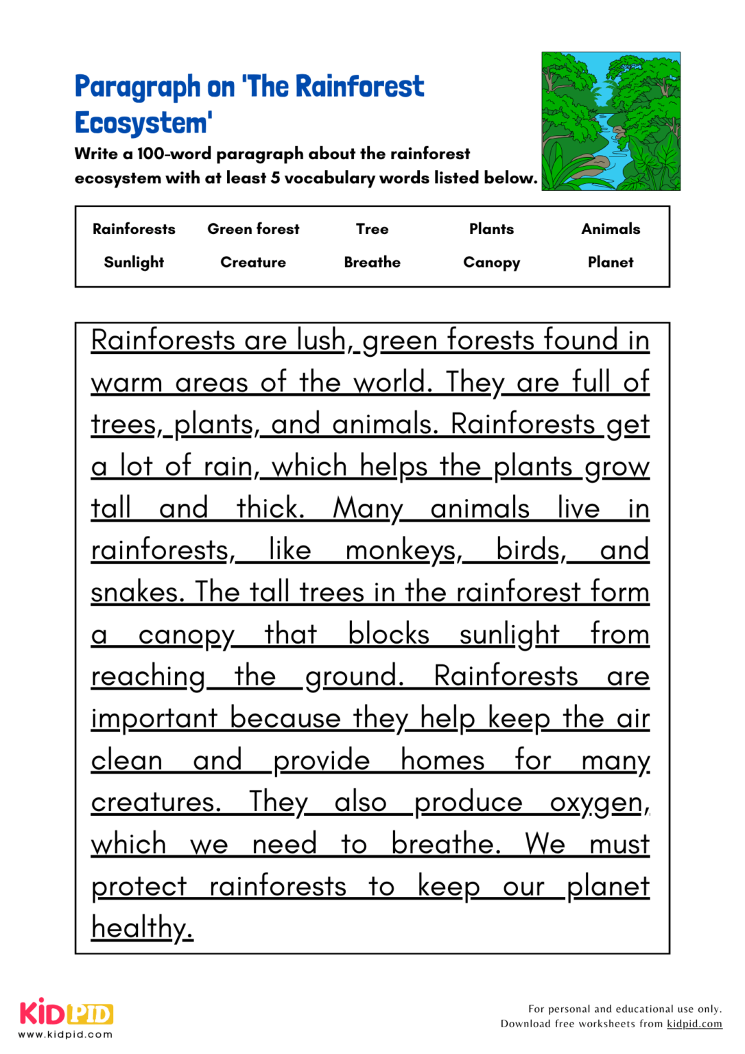 Paragraph on 'The Rainforest Ecosystem' - Kidpid