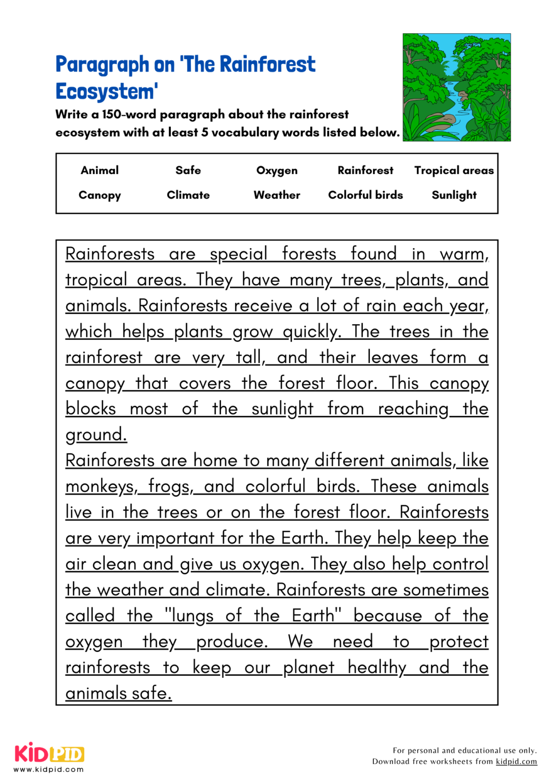 Paragraph on 'The Rainforest Ecosystem' - Kidpid