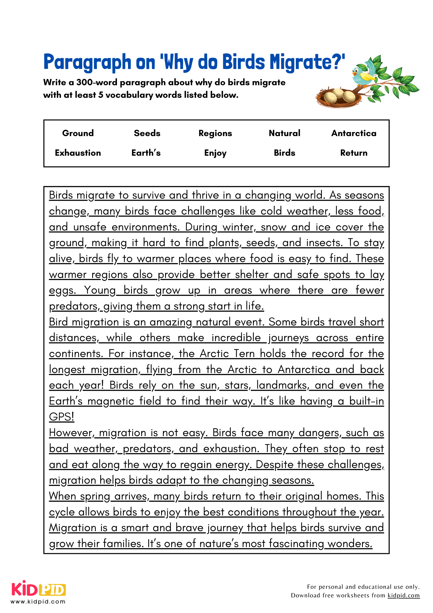 Paragraph on 'Why do Birds Migrate?' - 300 Words