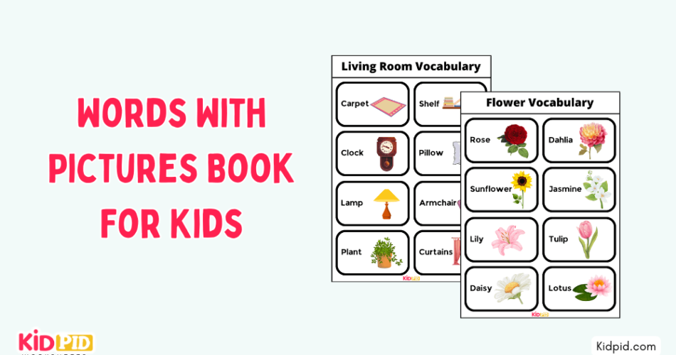 Words With Pictures Book For Kids