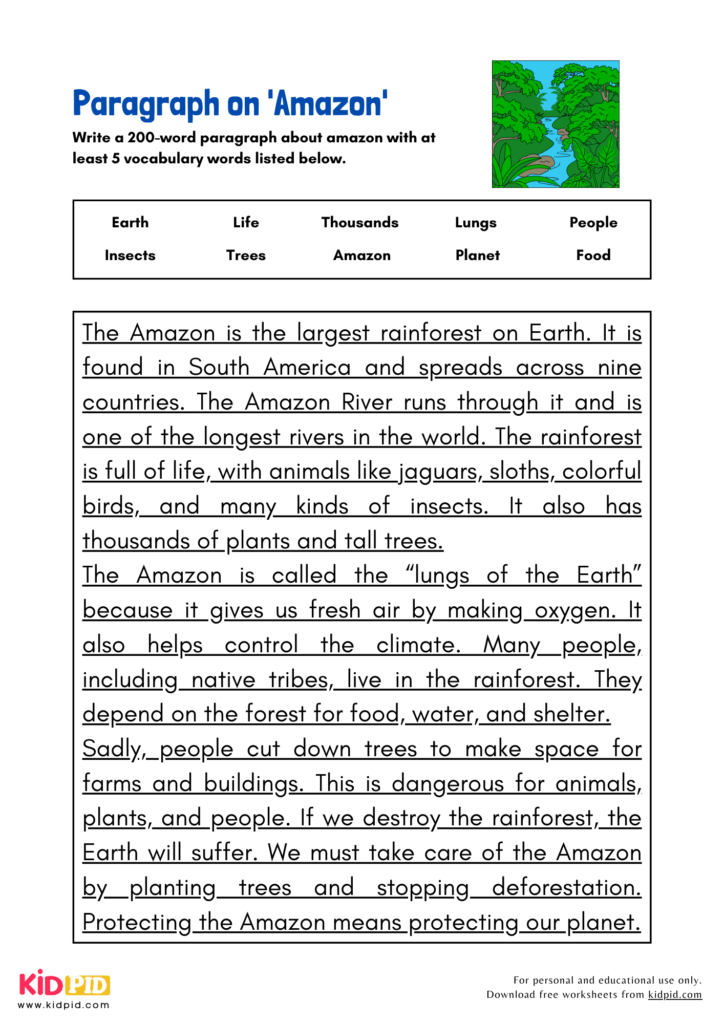 Paragraph on 'Amazon' Kidpid