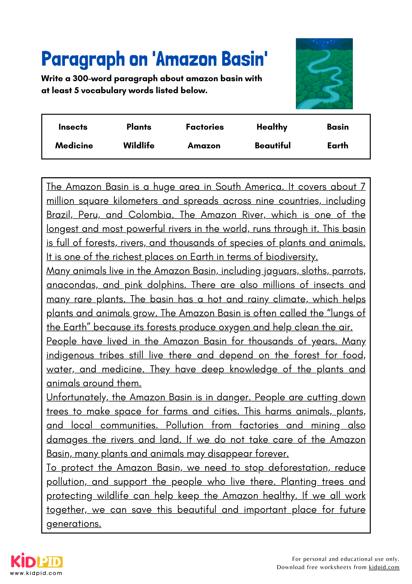 Paragraph on 'Amazon Basin' - 300 Words