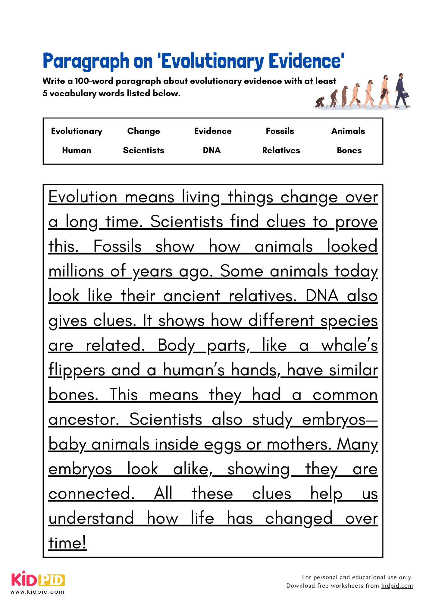 Paragraph on 'Evolutionary Evidence' - 100 Words