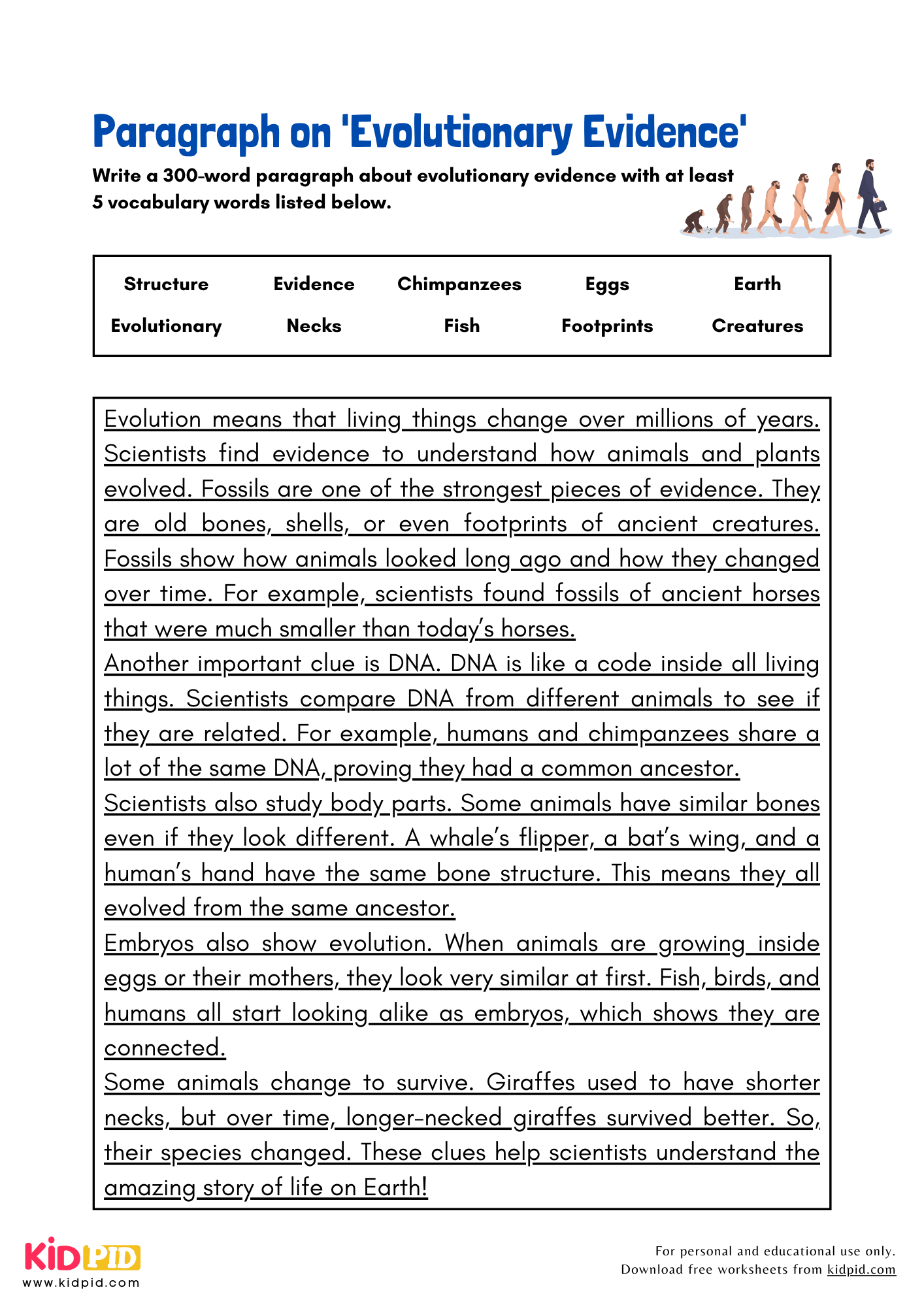 Paragraph on 'Evolutionary Evidence' - 300 Words