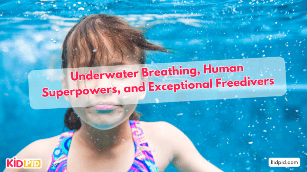 Underwater Breathing, Human Abilities, and Exceptional Freedivers