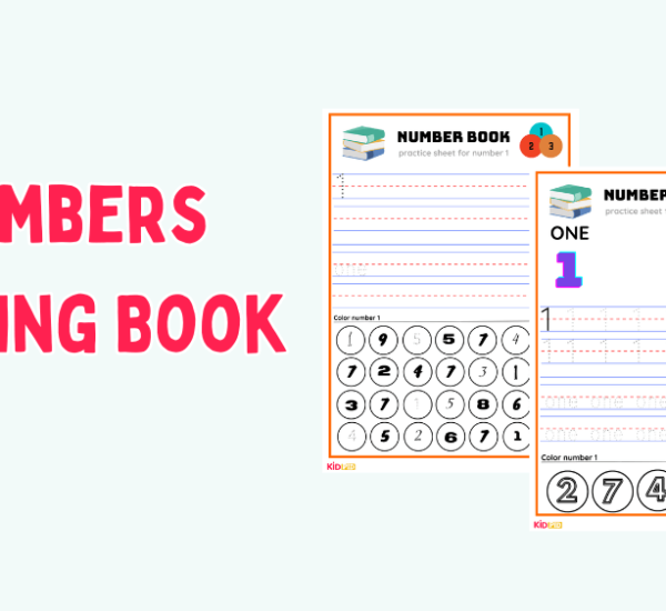 Numbers Tracing Book