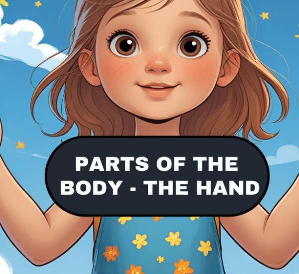 Explore the Parts of the Body – THE HAND