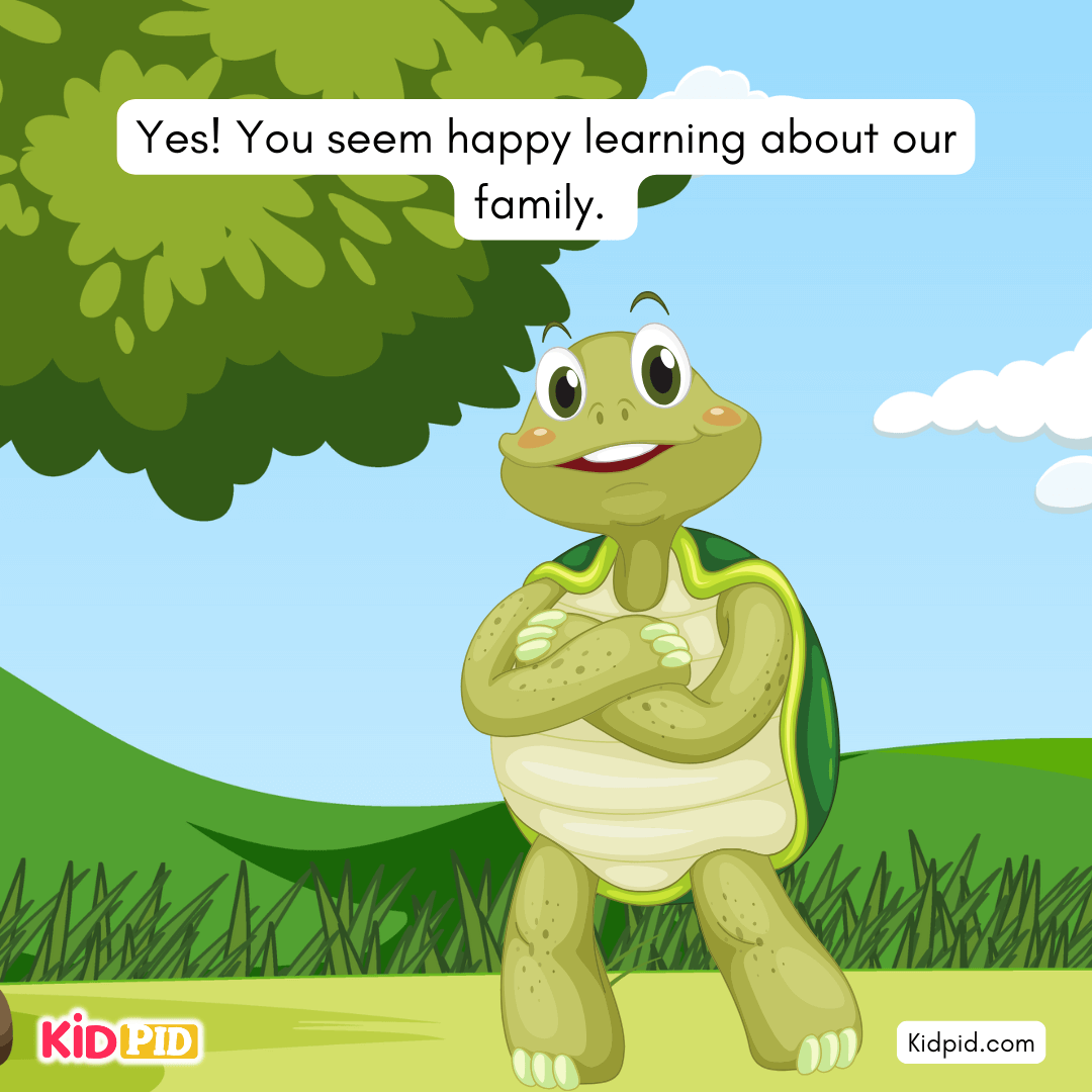 Fun Turtle & Tortoise Facts!