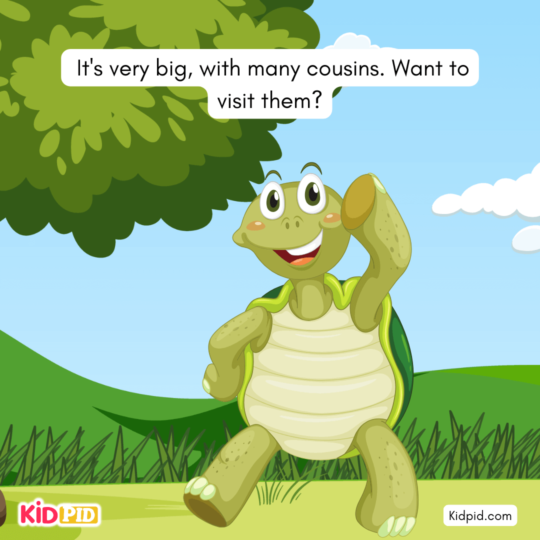 Fun Turtle & Tortoise Facts!
