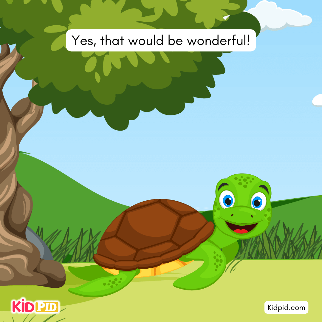 Fun Turtle & Tortoise Facts!