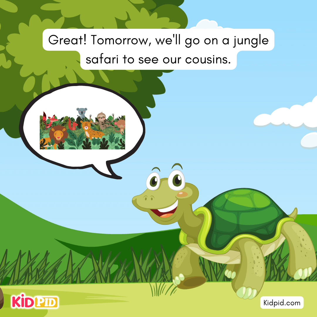 Fun Turtle & Tortoise Facts!