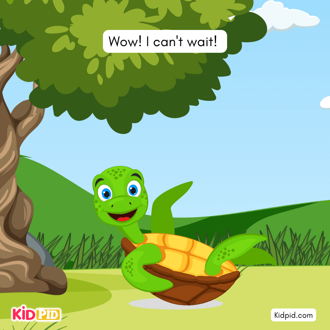 Fun Turtle & Tortoise Facts!