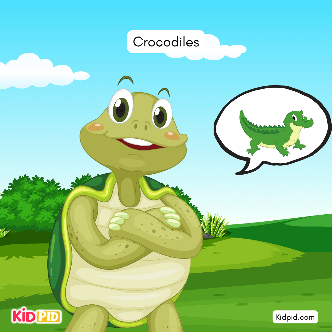 Fun Turtle & Tortoise Facts!