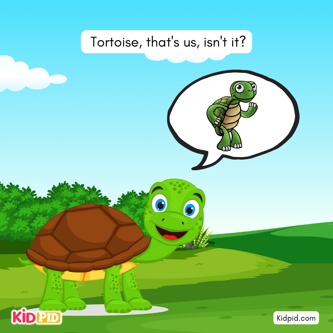 Fun Turtle & Tortoise Facts!