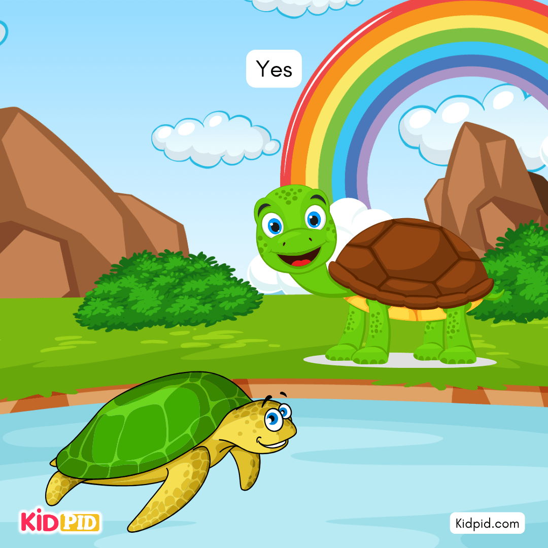 Fun Turtle & Tortoise Facts!