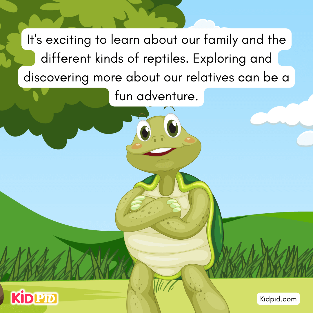Fun Turtle & Tortoise Facts!