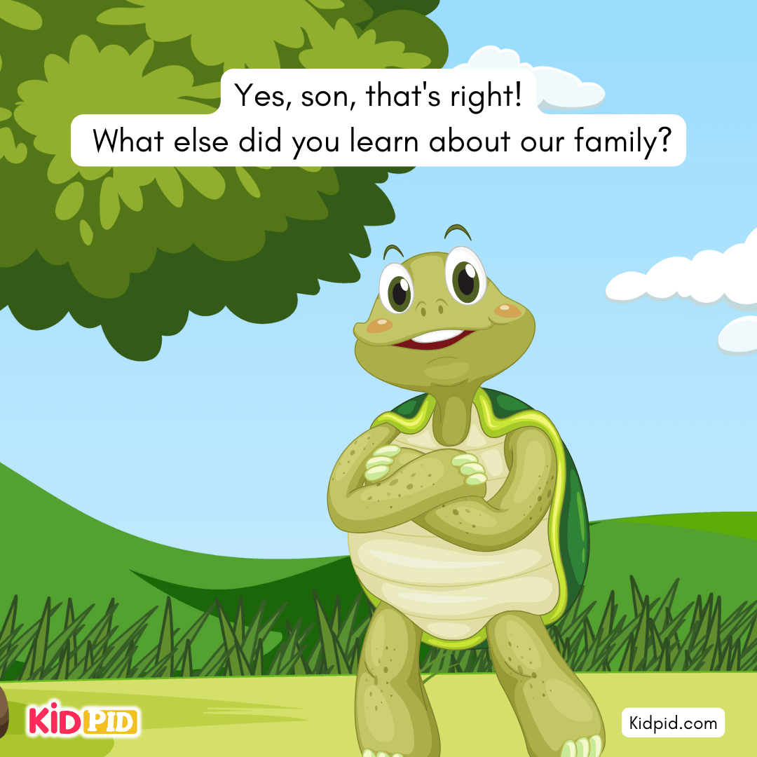 Fun Turtle & Tortoise Facts!