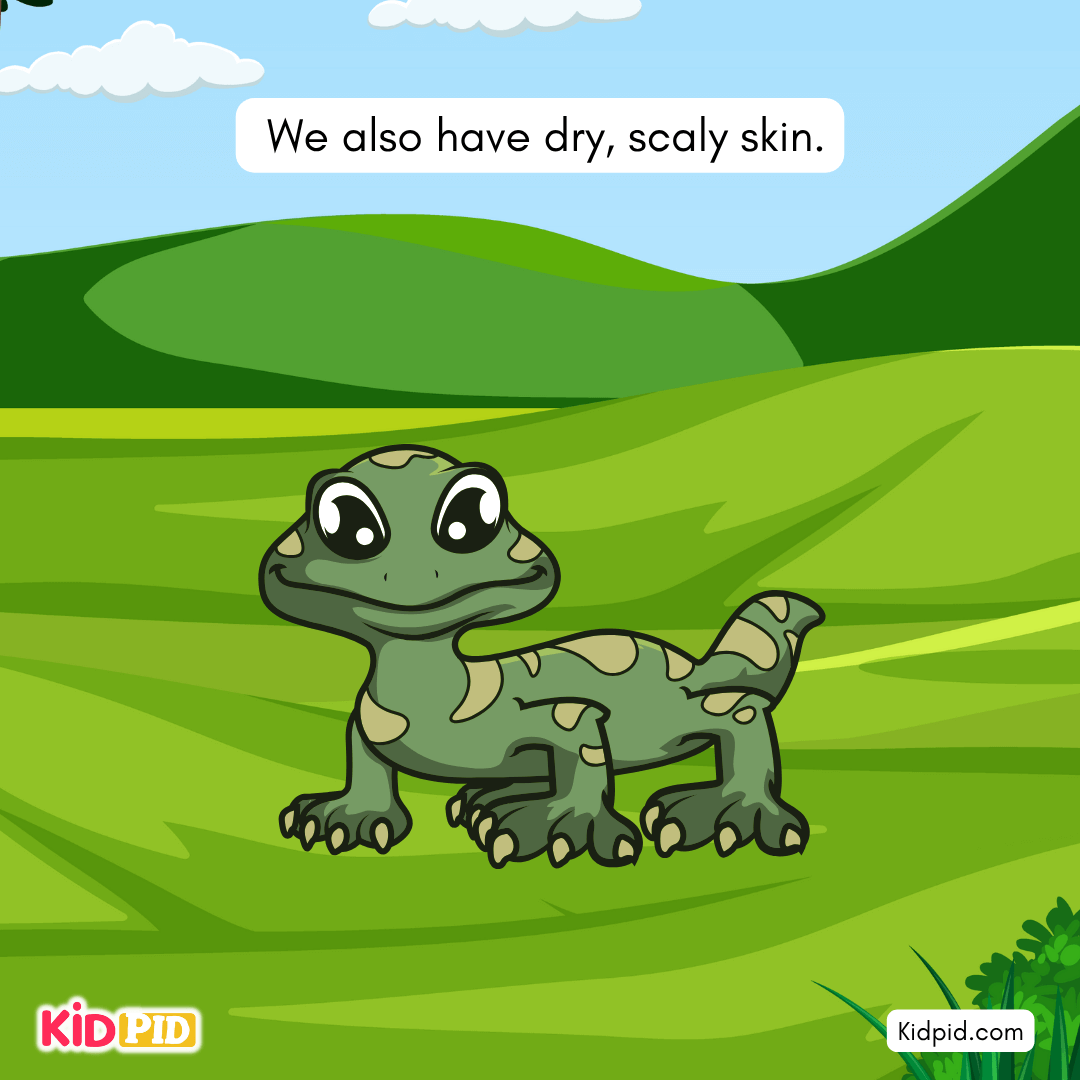 Fun Turtle & Tortoise Facts!