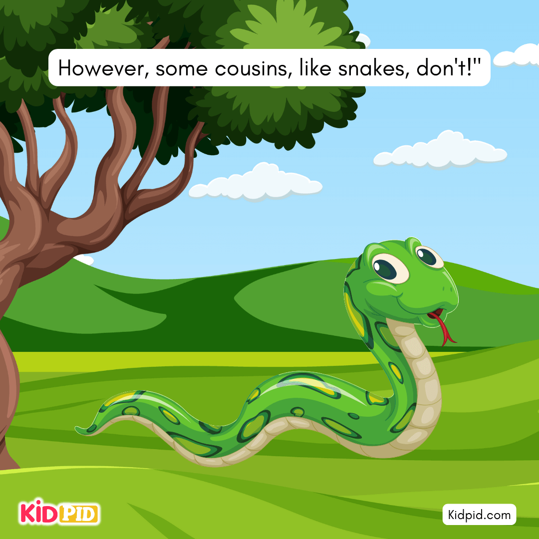 Fun Turtle & Tortoise Facts!