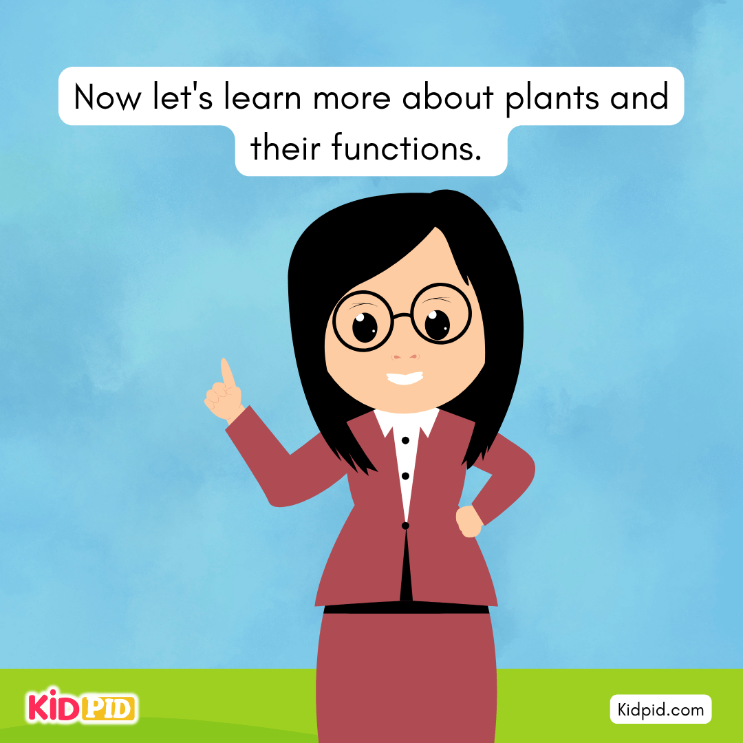 Learn the Plant Life Cycle Steps