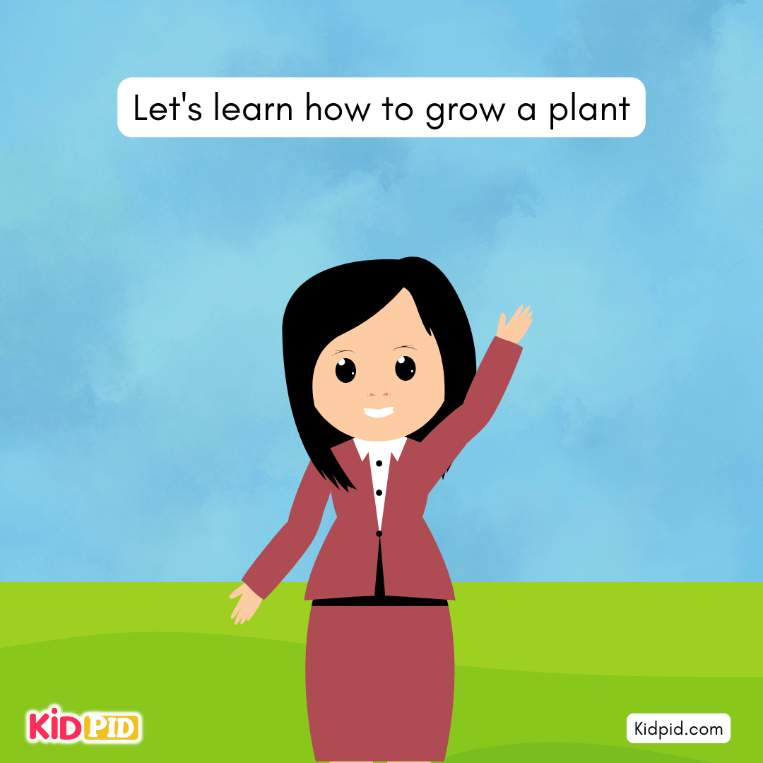 Learn the Plant Life Cycle Steps