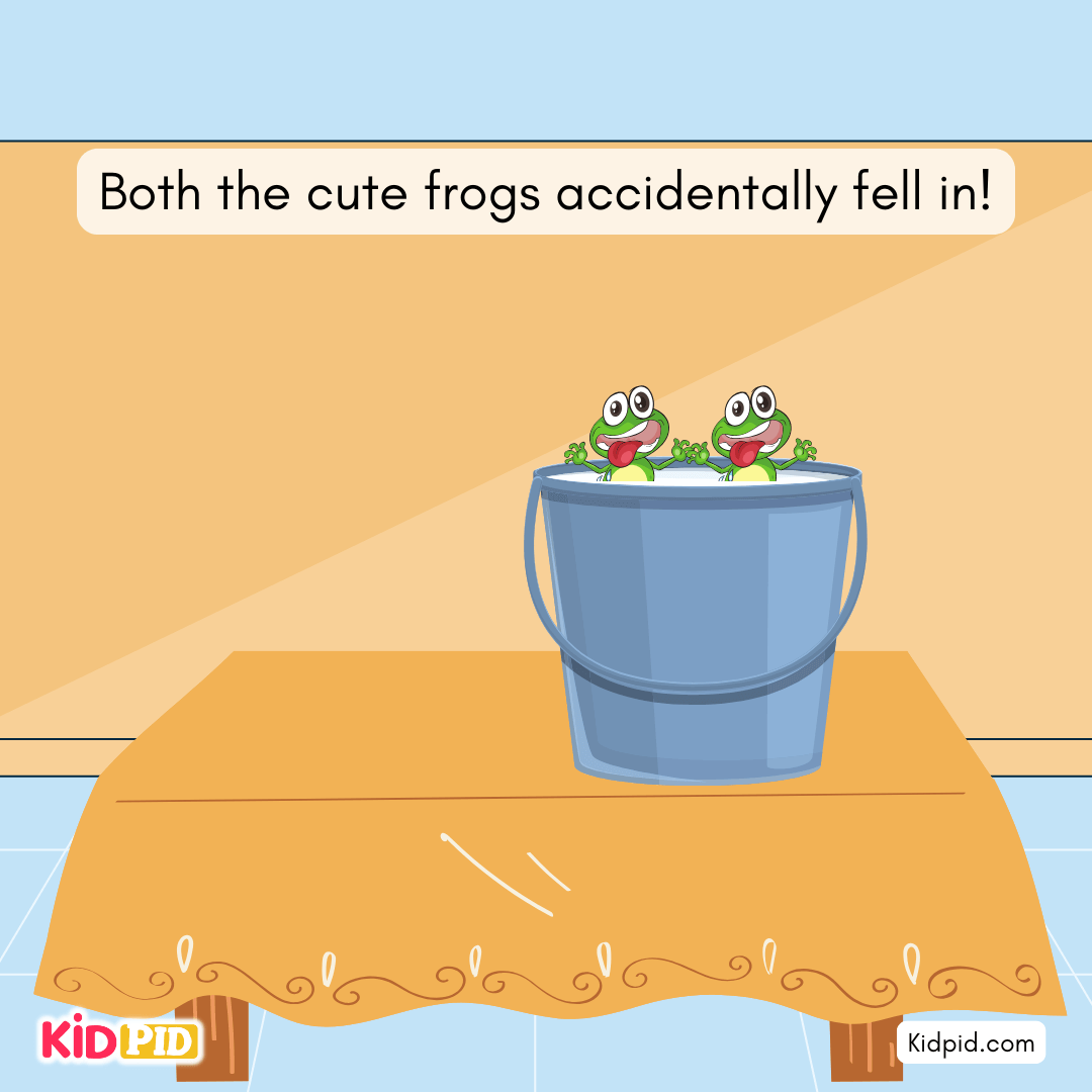 The Two Little Frogs - Both the cute frogs accidentally fell in!