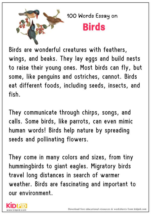 Essay On Birds in 100 Words
