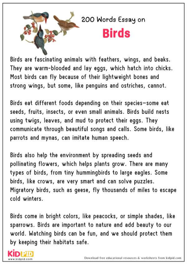 Essay On Birds in 200 Words