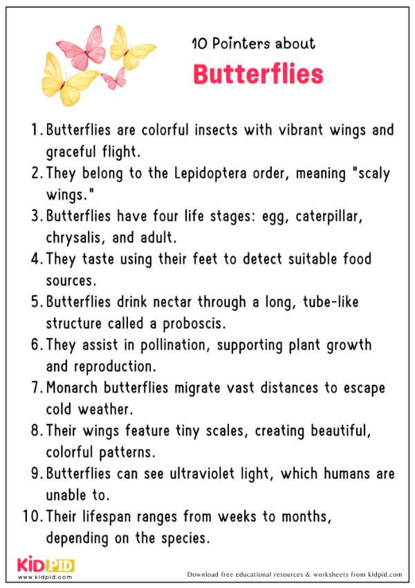 10 Pointers About Butterflies