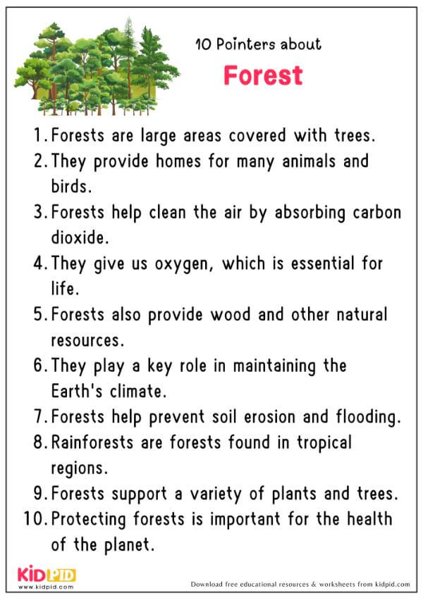 10 Pointers About Forest 