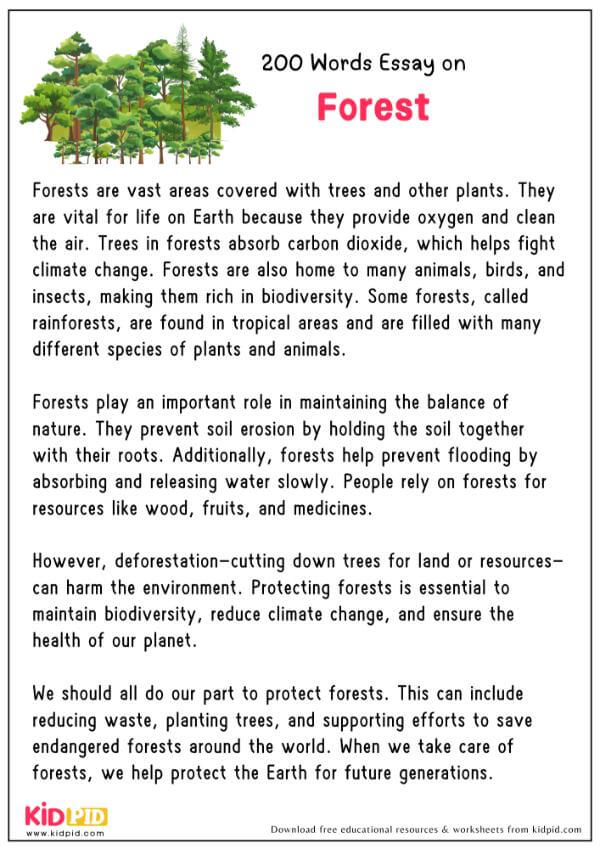 Essay On Forest in 200 Words