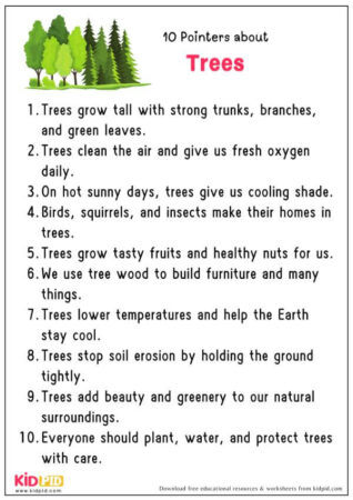 Trees: Essay, 10 Pointers and Questions - Kidpid