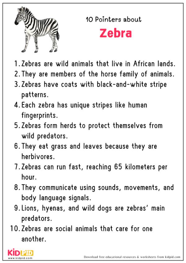 10 Pointers About Zebras