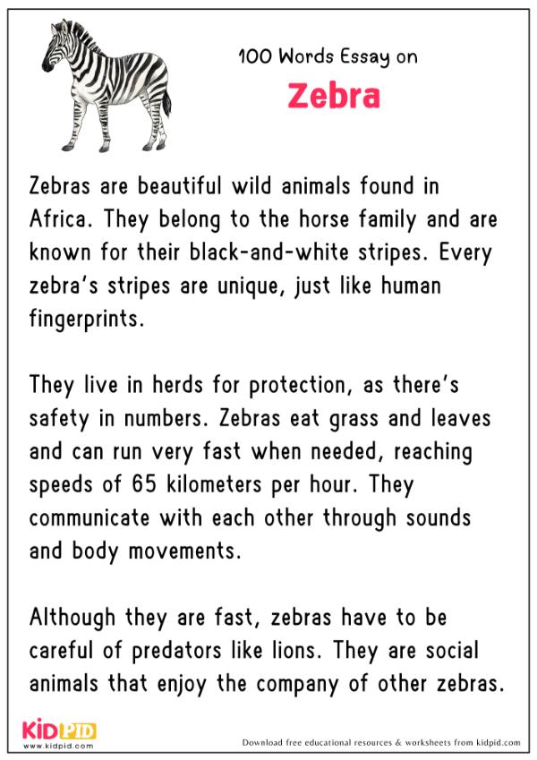 Essay On Zebras in 100 Words