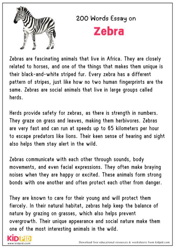 Essay On Zebras in 200 Words