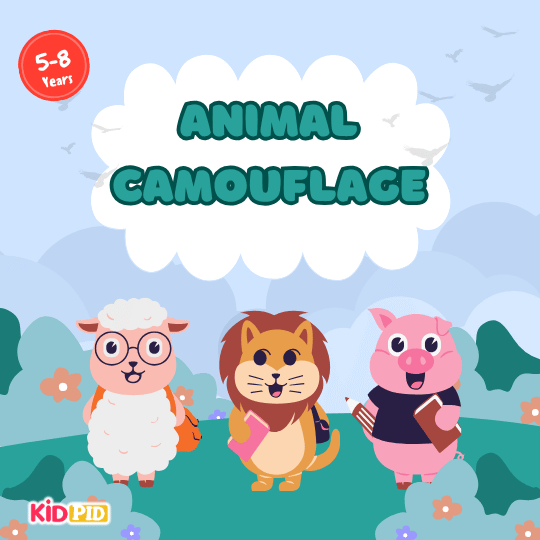 Animal Camouflage
