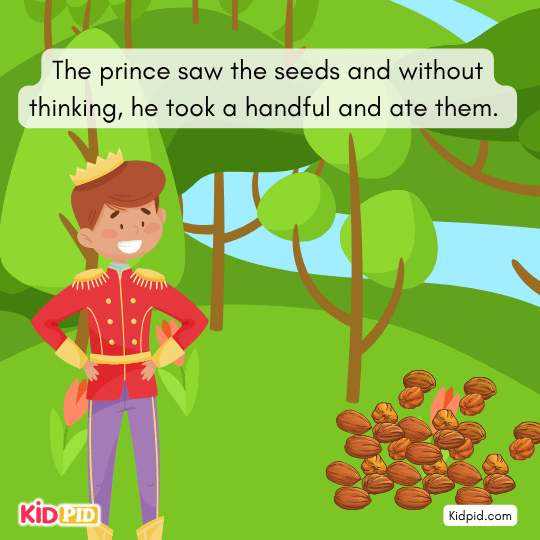 The prince saw seeds, grabbed a few, and ate them quickly - Fictional story 