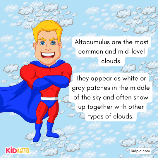Altocumulus is the most common and mid-level cloud. - Types Of Clouds 