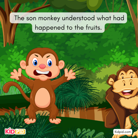 The son monkey understood what had happened to the fruits- Moral story