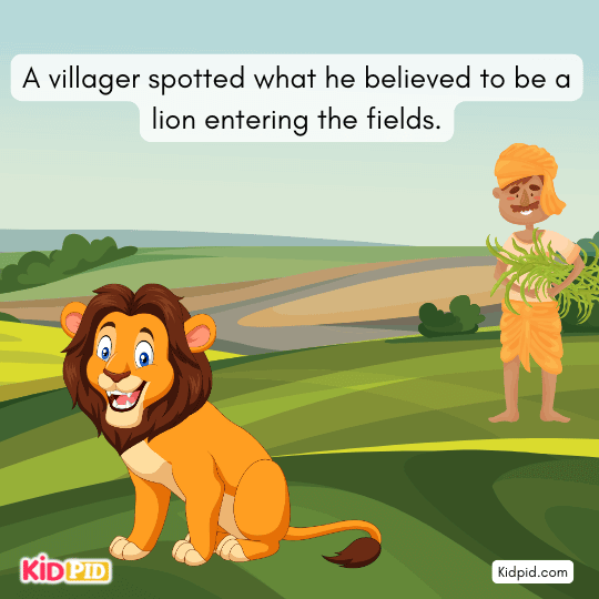 A villager saw a lion-like figure entering the fields- villagers and donkey story.