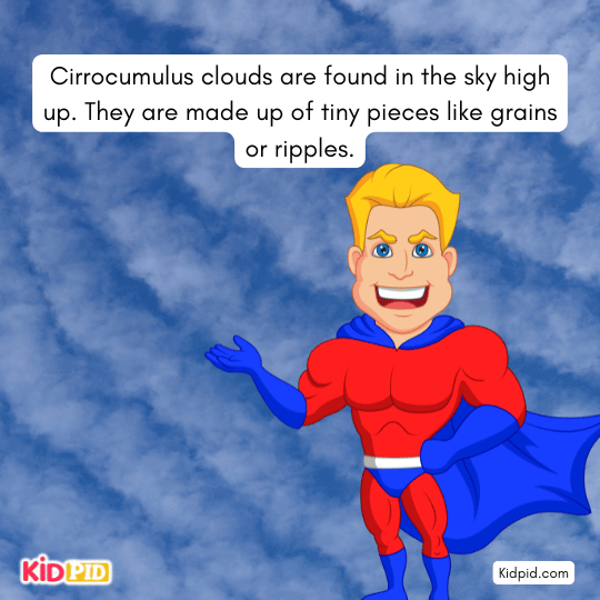 Cirrocumulus clouds are found high up in the sky. - Types Of Clouds