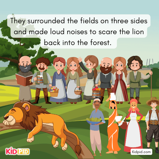 They surrounded fields, shouting to scare lion away- villagers and the Donkey story