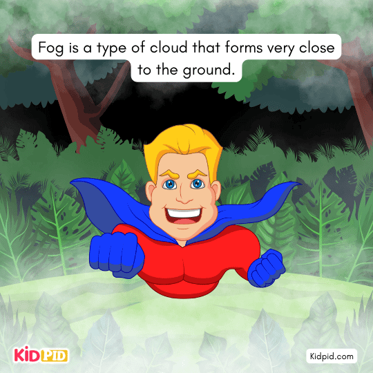 Fog is a type of cloud that forms very close to the ground. - Early reader book 